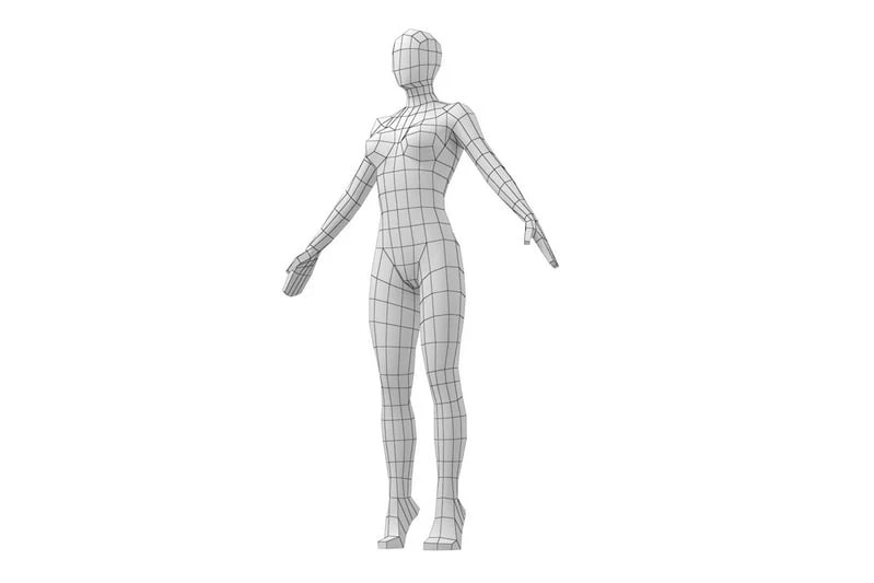 Full body 3D wireframe model